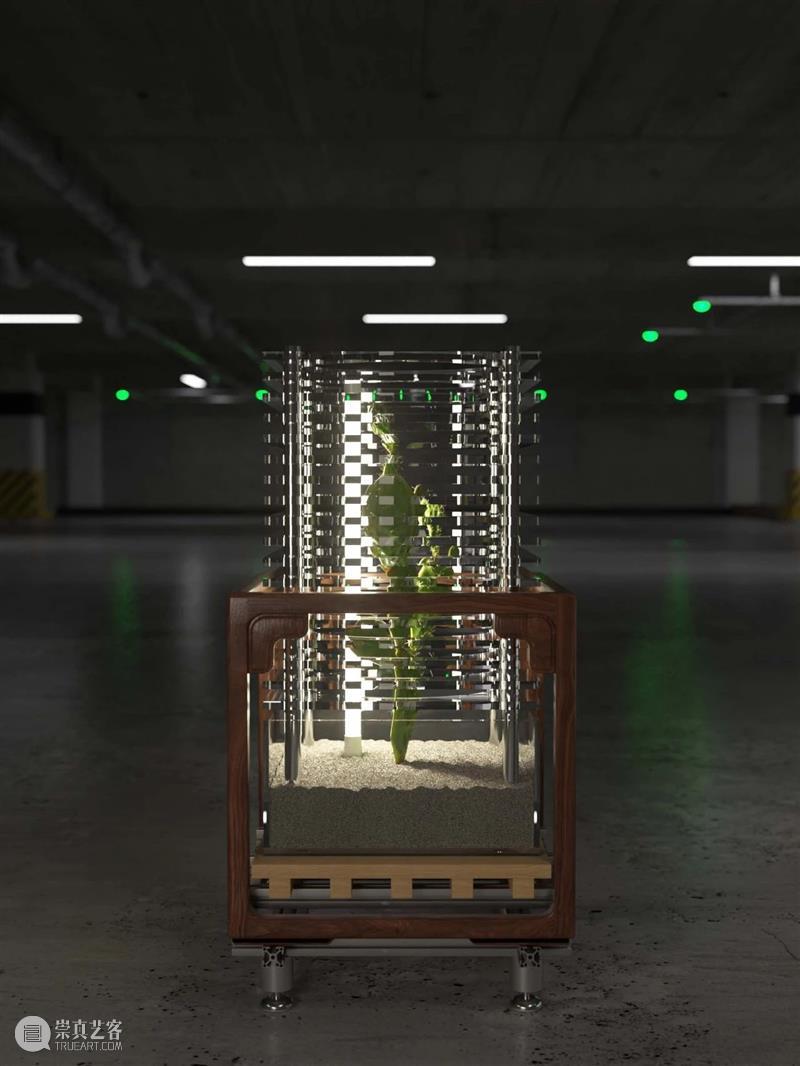 Setup!安装 × PLANTAGRAM:从远方吹进城市的风,转圜沙砾山水之间 视频资讯 Mingyuan Museum 崇真艺客